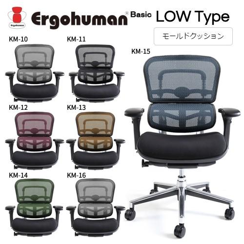 エルゴヒューマン ベーシック EH-LBM モールドクッション座面 ロータイプ Ergohuman ...