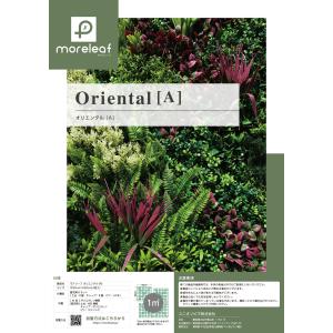 モアリーフ oriental A 4枚セット ...の詳細画像2