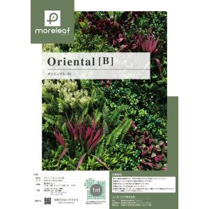 モアリーフ oriental B 4枚セット ...の詳細画像2