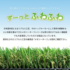 メモリーターフ25mm 芝丈25mm 1ロール...の詳細画像1