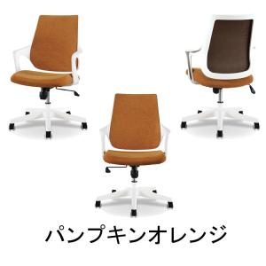 全色3月入荷予定 Lotti -ロッティチェア...の詳細画像3