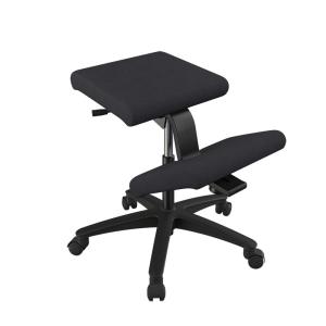 数量限定 VARIER Multi Balance Balans ヴァリエール マルチバランス
