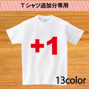 追加分専用 親子ペア Tシャツ 名入れ 送料無料 名前入り ギフト プレゼント｜temegane8