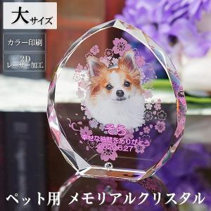 ペット位牌 クリスタル 写真入り しずく型 大サイズ 誕生月ラインストーン付き ガラス 名入れ メッセージ フォトフレーム 犬 猫 供養 位牌 遺影 KP-28A