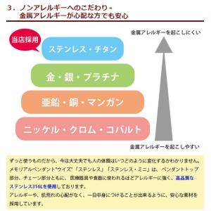 ペット 完全防水 遺骨ペンダント ウィズ ステ...の詳細画像5