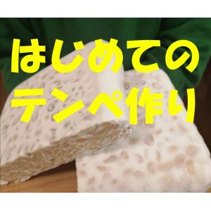 はじめてのテンペ作りセット　テンペ200gを8回分