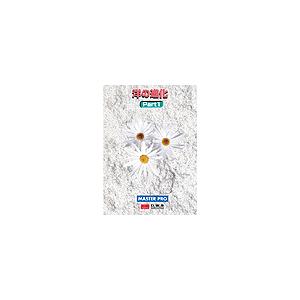 背景 地紋素材集 洋の進化 Illustrator ☆正規品新品未使用品 