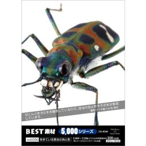 写真素材集　BEST素材5000シリーズvol.006 生きている昆虫の色と形