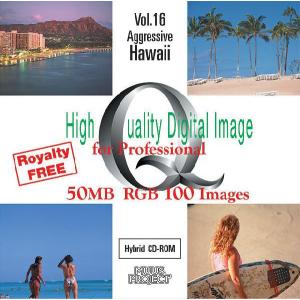 ハワイ風景写真集 データ 素材集 コード販売 の商品一覧 ソフトウェア スマホ タブレット パソコン 通販 Yahoo ショッピング