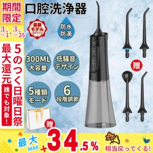 口腔洗浄器 ウォーターピック ジェットウォッシャー