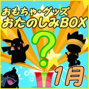 おたのしみBOX (おもちゃVol.1) 1月BOX 何が届くかはお楽しみ おもちゃ・グッズ福袋 数量限定 お楽しみボックス