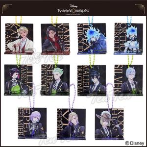 ディズニー ツイステッドワンダーランド ビジュアル色紙コレクション