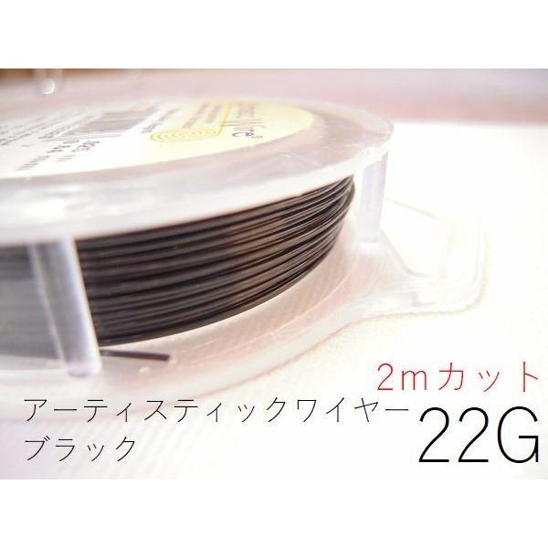 ポイント5倍・AWブラック22G×約2ｍカット(太さ約0.64mm)／アーティスティックワイヤー【1...
