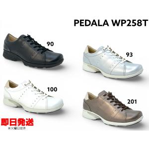 新品未使用 ASICS ペダラ ウォーキングシューズ レザー サイドシップ 24 新品未使用 ASICS ペダラ ウォーキングシューズ レザー サイドシップ