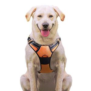 抜けないハーネス 犬用ハーネスリード の商品一覧 首輪 ハーネス リード 犬用品 ペット用品 生き物 通販 Yahoo ショッピング