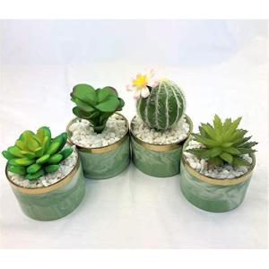 多肉植物 おしゃれ 入れ物の商品一覧 通販 Yahoo ショッピング