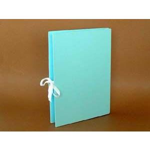 美濃商会　1036　K4R 4穴　エコA-NERエィナーファイル　青　A4S型　ハトメ付（結束紐付）...