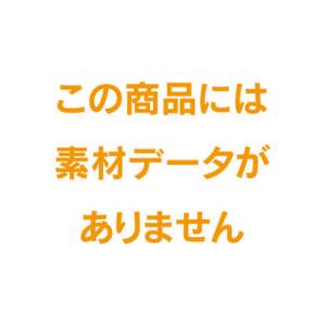 ライオン事務器　CT-2800K　アルミ合金製現送トランク　77680