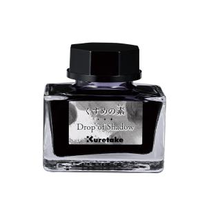 PILOT（パイロット） インキ証券用 ブラック INK-30-DO 30ml : 万年筆