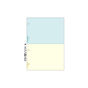 ヒサゴ　FSC2011W　FSC（R）認証 マルチプリンタ帳票 A4 カラー 2面 4穴（2,400...