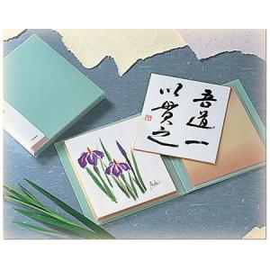 呉竹 KN20 色紙ファイルの詳細画像1