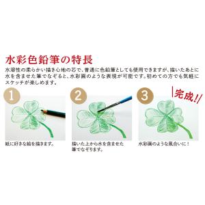ファーバーカステル(FABER-CASTELL...の詳細画像4