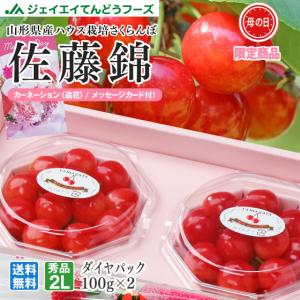 母の日 ギフト さくらんぼ 2025 佐藤錦 2L玉 秀品 100g×2 山形県産  ダイヤパック JA 産地直送 mc01