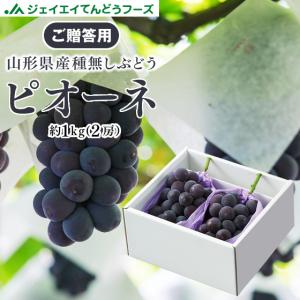 山形県産 ぶどう ピオーネ 約1kg (500g×2房) 葡萄 フルーツ 贈答 爆買 9月中旬〜下旬ころより順次出荷