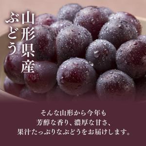 山形県産 ぶどう ピオーネ 約1kg (500...の詳細画像1