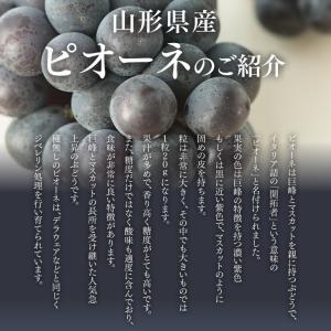 山形県産 ぶどう ピオーネ 約1kg (500...の詳細画像4