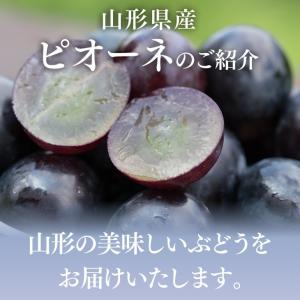山形県産 ぶどう ピオーネ 約1kg (500...の詳細画像5
