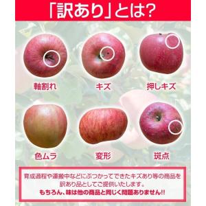 訳あり 青森県産 サンふじ りんご 約5kg ...の詳細画像1