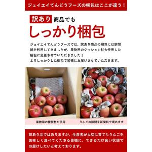 訳あり 青森県産 サンふじ りんご 約5kg ...の詳細画像3