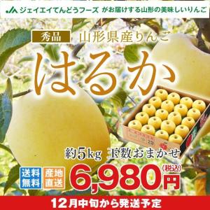 りんご ギフト 秀品 山形県産 はるか 約5kg リンゴ 林檎 ap36  (一部地域別途送料)｜tendofoods
