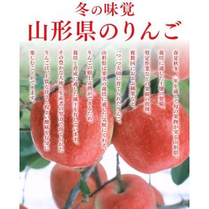 りんご 訳あり 山形県産 はるか 約5kg リ...の詳細画像1