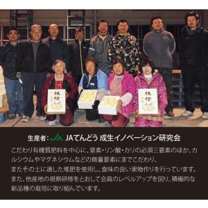 りんご 訳あり 山形県産 はるか 約5kg リ...の詳細画像3