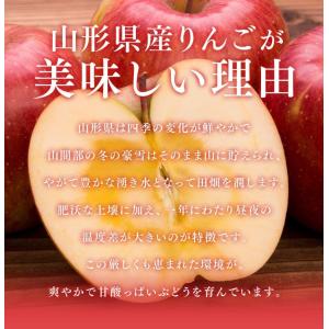 りんご 訳あり 山形県産 はるか 約5kg リ...の詳細画像5