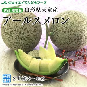 メロン ギフト 山形県天童産 アールスメロン 2玉・約3〜4kg ツルあり