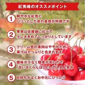 お中元 さくらんぼ 送料無料 紅秀峰 秀品 山...の詳細画像3