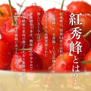 さくらんぼ 送料無料 紅秀峰 ご家庭用 山形県...の詳細画像2