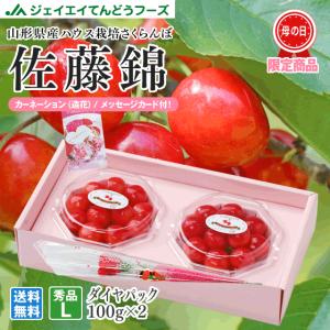 遅れてごめんね母の日 ギフト 2025 さくらんぼ  佐藤錦 L玉 秀品 100g×2 山形県産  ダイヤパック JA 産地直送 mc02