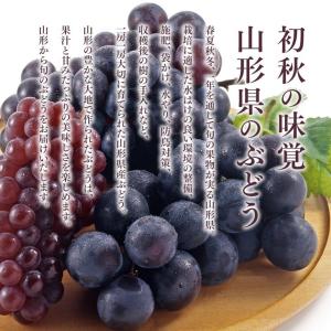 ぶどう 訳あり フルーツ 種なし ピオーネ 約...の詳細画像1