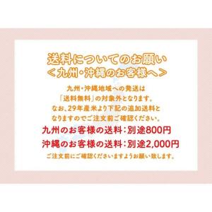 【キャンセル不可・着日指定不可】お米 10kg...の詳細画像4