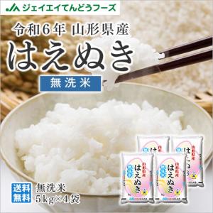 米 お米 20kg 無洗米 お米 (5kg×4袋) はえぬき 山形県産 令和5年産 rhm2005｜tendofoods