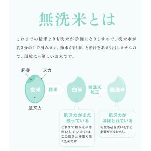 お米 20kg 無洗米 お米 (5kg×4袋)...の詳細画像2