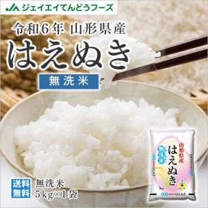 お米 5kg 無洗米 お米 はえぬき 山形県産 令和5年産 rhm0505