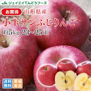 りんご サンふじ お買い得品 ○秀品 山形県天童産 小玉サンふじ 約5kg  リンゴ 林檎 (一部地域別途送料)