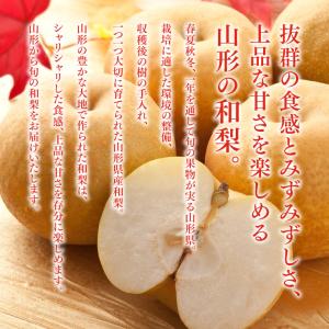 訳あり 梨 和梨 刈屋梨 約2.5kg 山形県...の詳細画像2