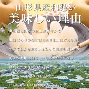 訳あり 梨 和梨 刈屋梨 約2.5kg 山形県...の詳細画像3