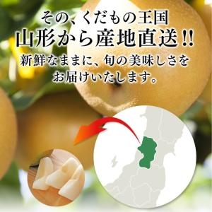 訳あり 梨 和梨 刈屋梨 約2.5kg 山形県...の詳細画像4